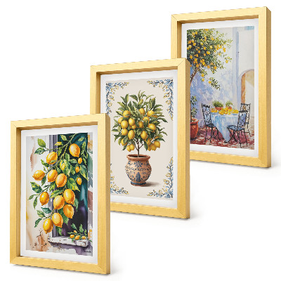 Posterpaket Citronträd och frukt i solig miljö
