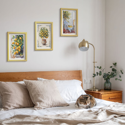 Posterpaket Citronträd och frukt i solig miljö