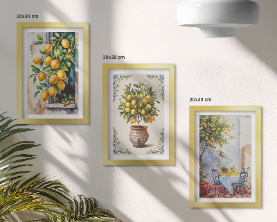 Posterpaket Citronträd och frukt i solig miljö