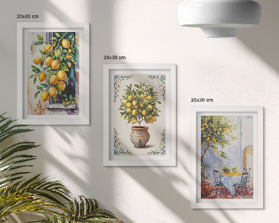 Posterpaket Citronträd och frukt i solig miljö