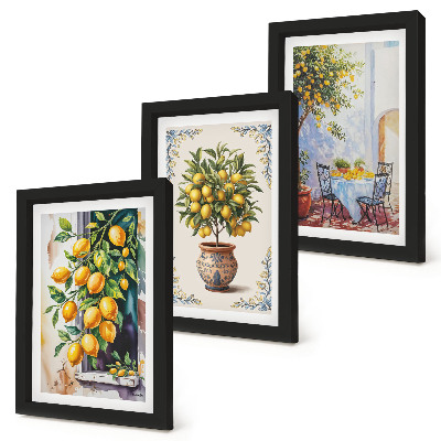 Posterpaket Citronträd och frukt i solig miljö