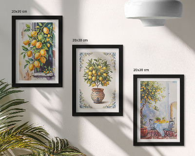 Posterpaket Citronträd och frukt i solig miljö