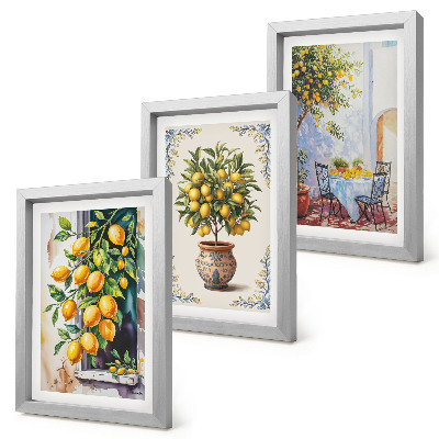 Posterpaket Citronträd och frukt i solig miljö