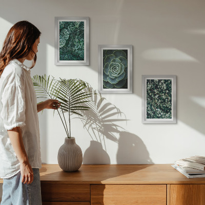 Posterpaket Gröna blad av suckulenta växter och ömtåliga kvistar