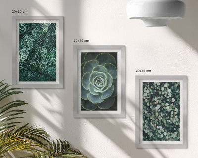 Posterpaket Gröna blad av suckulenta växter och ömtåliga kvistar