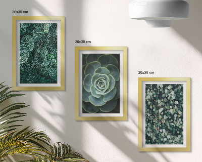 Posterpaket Gröna blad av suckulenta växter och ömtåliga kvistar