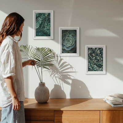 Posterpaket Gröna blad av suckulenta växter och ömtåliga kvistar