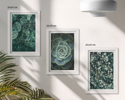 Posterpaket Gröna blad av suckulenta växter och ömtåliga kvistar