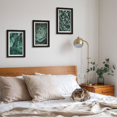 Posterpaket Gröna blad av suckulenta växter och ömtåliga kvistar