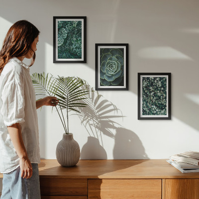 Posterpaket Gröna blad av suckulenta växter och ömtåliga kvistar