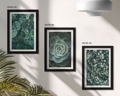 Posterpaket Gröna blad av suckulenta växter och ömtåliga kvistar