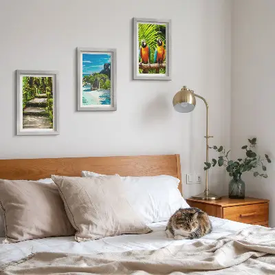 Posterpaket tropisk skog med vattenfall och färgglada papegojor