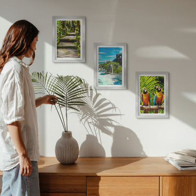 Posterpaket Tropisk skog med ett vattenfall och färgglada papegojor