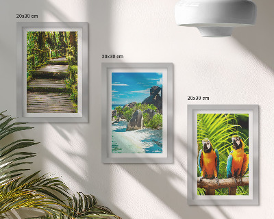 Posterpaket Tropisk skog med ett vattenfall och färgglada papegojor