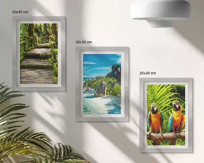 Posterpaket tropisk skog med vattenfall och färgglada papegojor