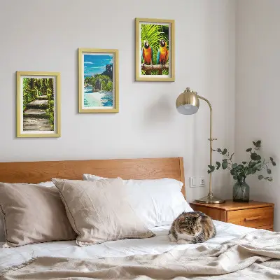 Posterpaket tropisk skog med vattenfall och färgglada papegojor
