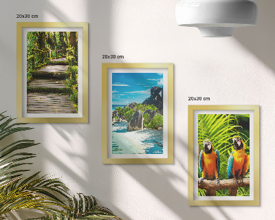 Posterpaket Tropisk skog med ett vattenfall och färgglada papegojor