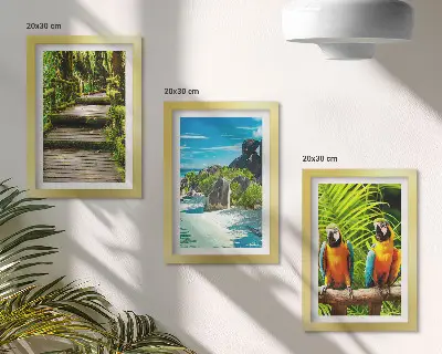 Posterpaket tropisk skog med vattenfall och färgglada papegojor