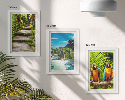 Posterpaket Tropisk skog med ett vattenfall och färgglada papegojor