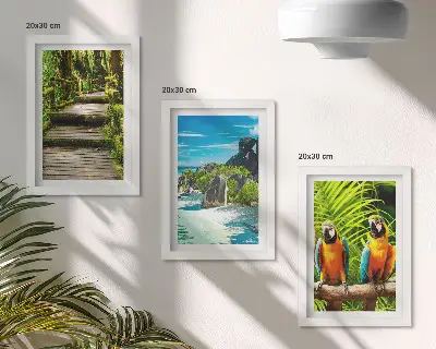 Posterpaket tropisk skog med vattenfall och färgglada papegojor