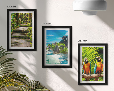 Posterpaket Tropisk skog med ett vattenfall och färgglada papegojor
