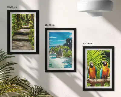Posterpaket tropisk skog med vattenfall och färgglada papegojor