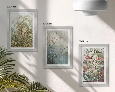Posterpaket med motiv av tropiska växter och färgglada fåglar i naturen