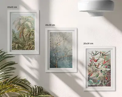 Posterpaket med motiv av tropiska växter och färgglada fåglar i naturen