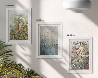 Posterpaket Tropiska växter och färgglada fåglar i naturen