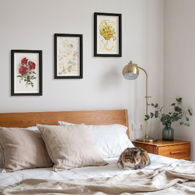Posterpaket Röda rosor, vit figur, gula blommor i en vas