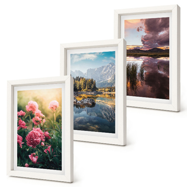 Posterpaket Blommor i trädgården, berg och en lugn vattenyta