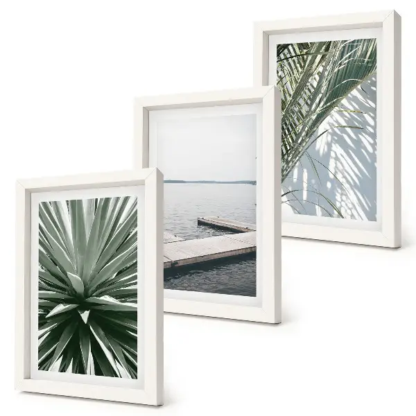 Posterpaket med motiv av palmblad och träpir