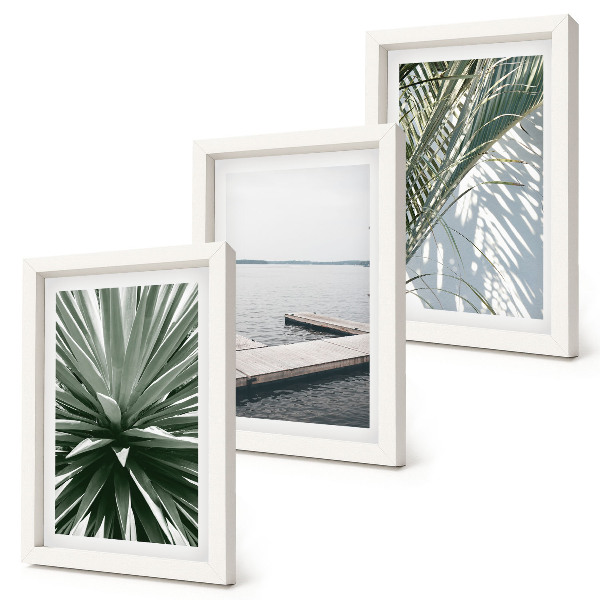 Posterpaket Palmbladväxt och träpir