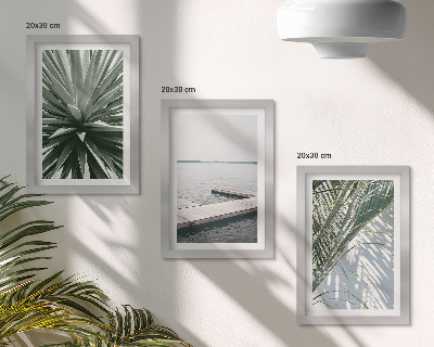 Posterpaket Palmbladväxt och träpir