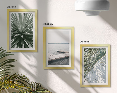 Posterpaket Palmbladväxt och träpir