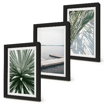 Posterpaket Palmbladväxt och träpir