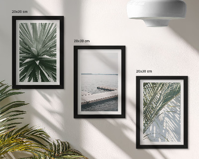 Posterpaket Palmbladväxt och träpir