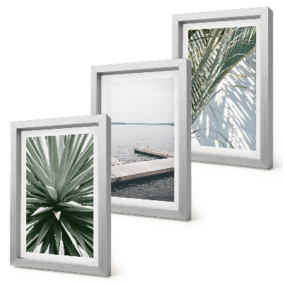 Posterpaket Palmbladväxt och träpir