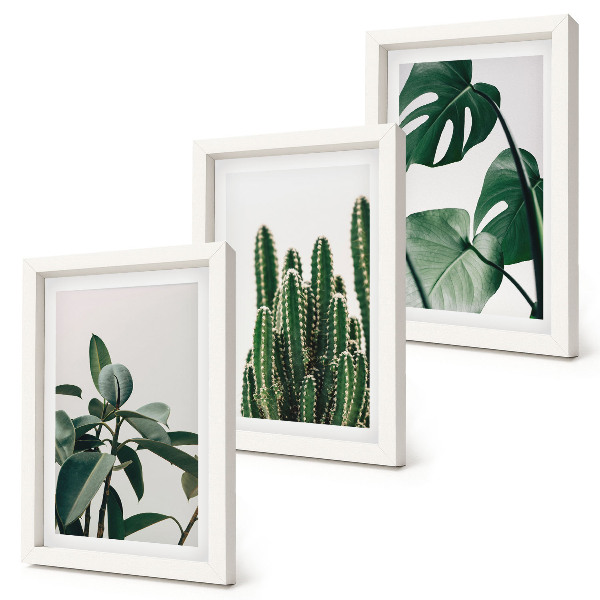 Triptyk tavla med ram Tropiska krukväxter estetiska blad