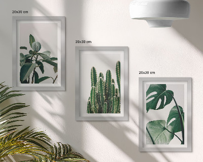 Triptyk tavla med ram Tropiska krukväxter estetiska blad