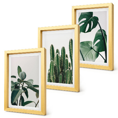 Triptyk tavla med ram Tropiska krukväxter estetiska blad