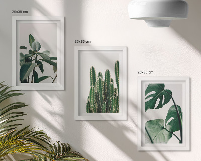 Triptyk tavla med ram Tropiska krukväxter estetiska blad
