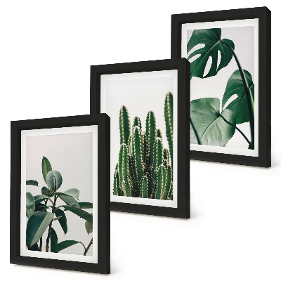 Triptyk tavla med ram Tropiska krukväxter estetiska blad