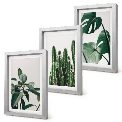 Triptyk tavla med ram Tropiska krukväxter estetiska blad
