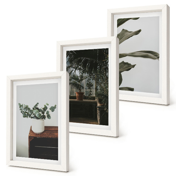 Triptyk tavla med ram Krukväxter med rustika blad