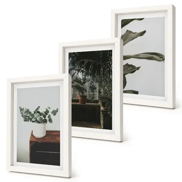 Triptyk med krukväxter med rustika blad tavla med ram