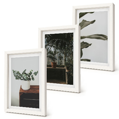 Triptyk tavla med ram Krukväxter med rustika blad