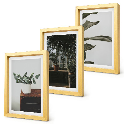 Triptyk tavla med ram Krukväxter med rustika blad