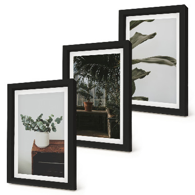 Triptyk tavla med ram Krukväxter med rustika blad