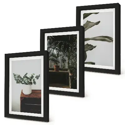Triptyk med krukväxter med rustika blad tavla med ram